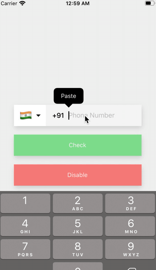 Phone Number Text Input React Native